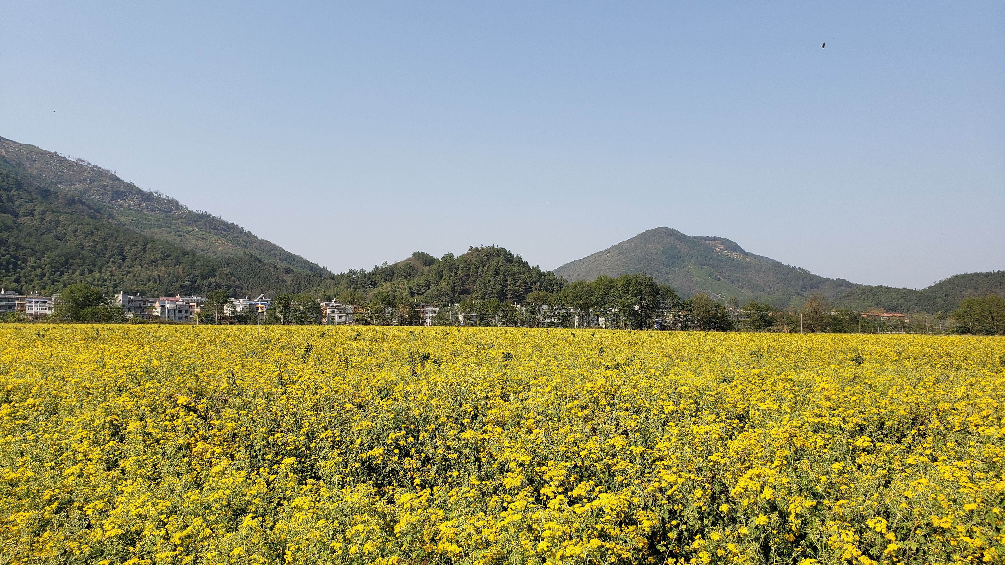 Qb1P0f8pT9-eKrNIFQDbj