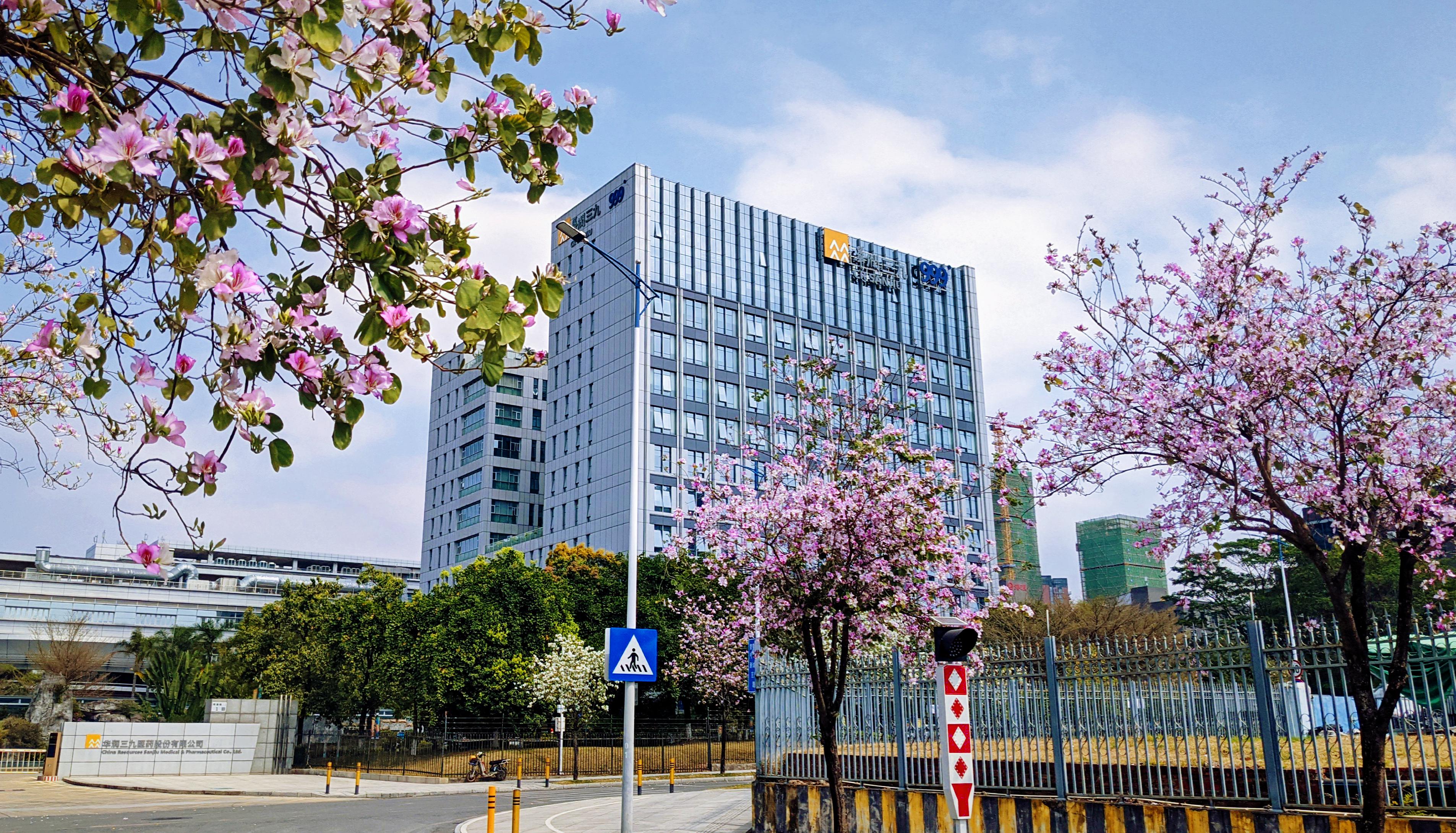 6mh-MDOJIZJrOaSURzhC9