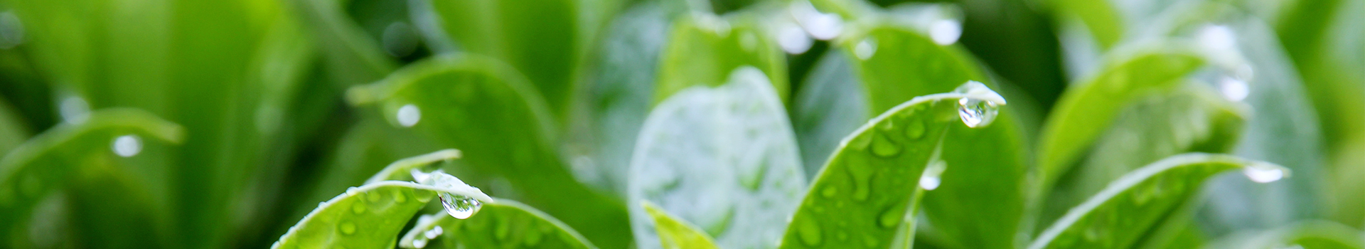 3e9cde46-d6c2-4955-baf2-c28656749541