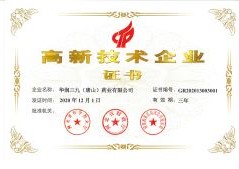 2020����¼�����ҵ