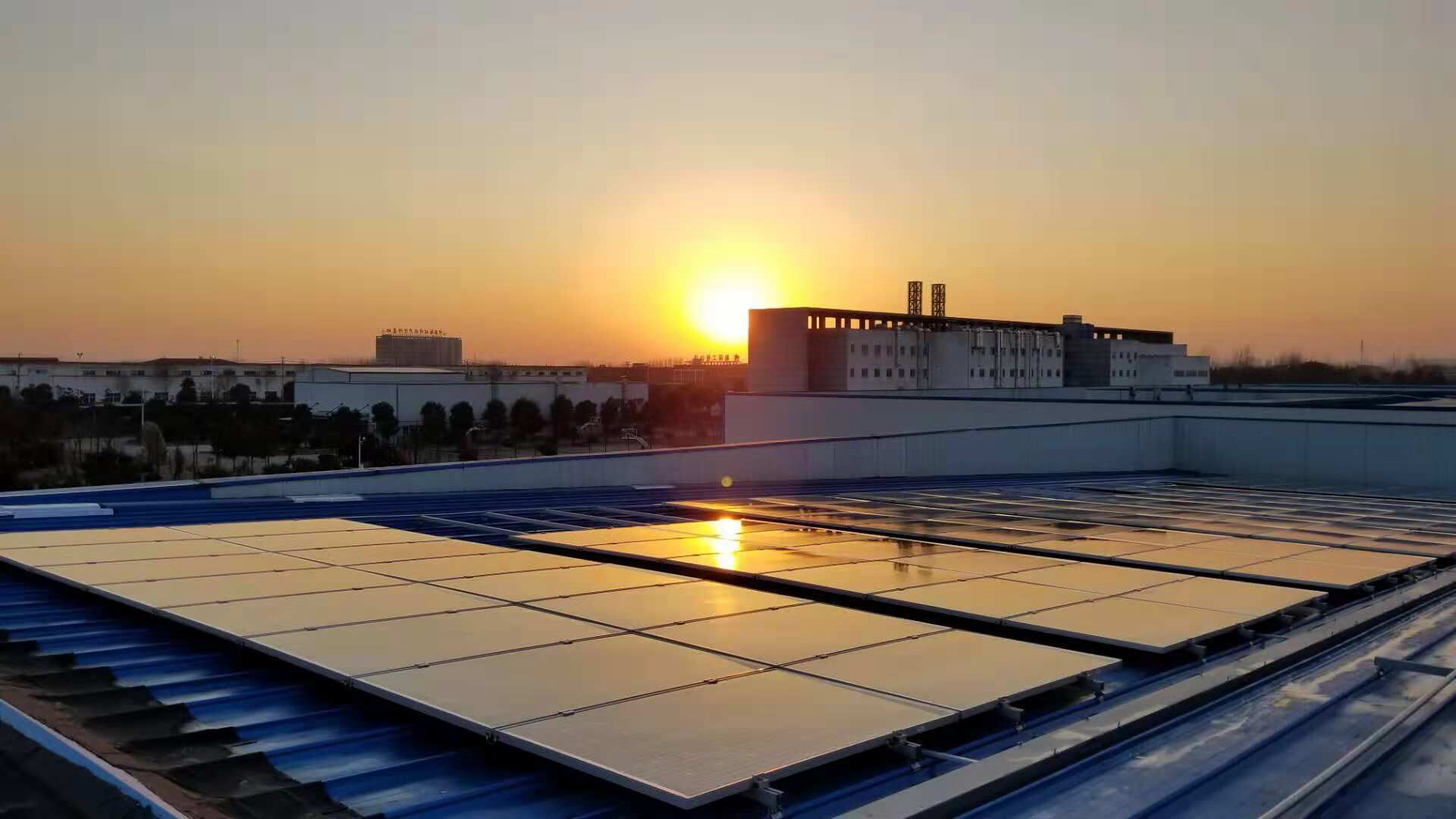 �Ƿ�����(�й���)-�ٷ���վ