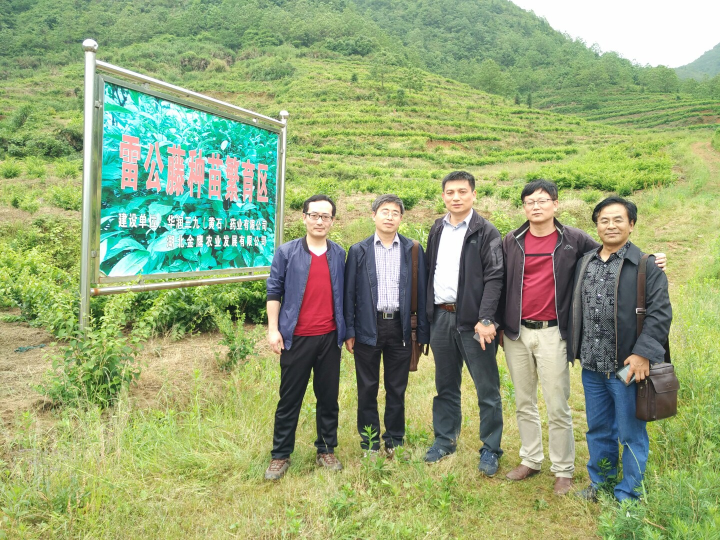 �Ƿ�����(�й���)-�ٷ���վ