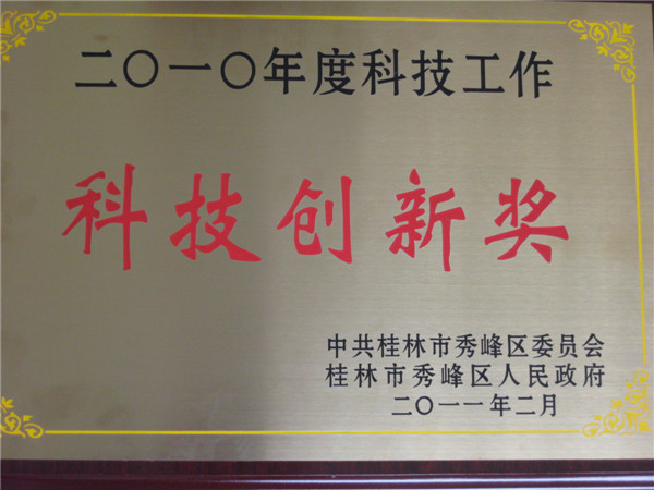 2010��ȿƼ��������½�