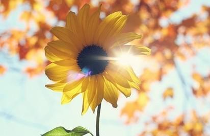 20150112105144328 非凡国际(中国区)-官方网站