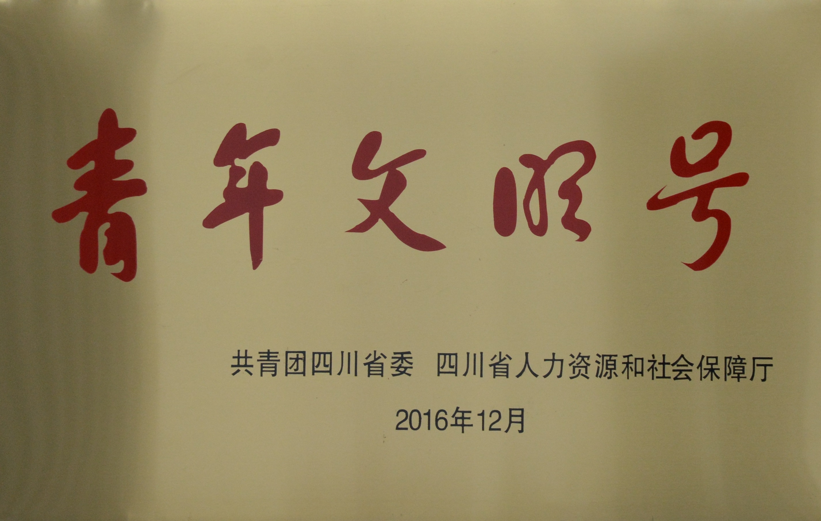 �����Ļ���